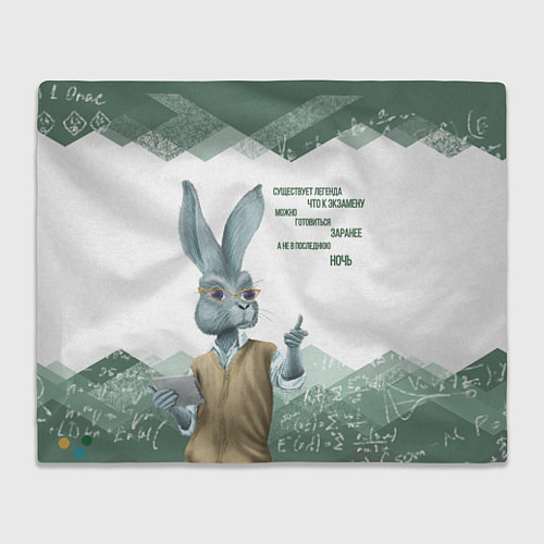 Плед Легенда про экзамен / 3D-Велсофт – фото 1