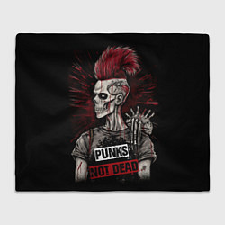 Плед Punks not dead