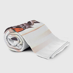 Плед флисовый Аниме Енот и Кот, цвет: 3D-велсофт — фото 2