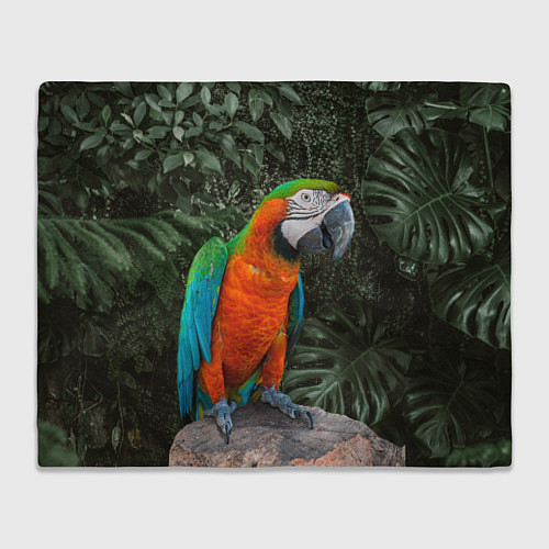 Плед Попугай Макао / 3D-Велсофт – фото 1