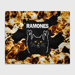 Плед флисовый Ramones рок кот и огонь, цвет: 3D-велсофт