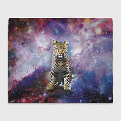 Плед Space leopard