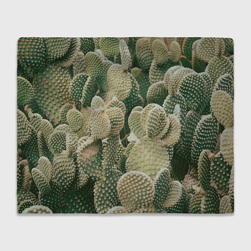 Плед Поле кактусов / 3D-Велсофт – фото 1