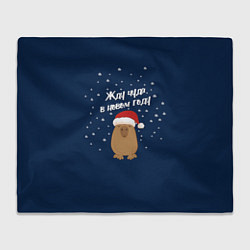 Плед флисовый Новогодняя капибара 2024, цвет: 3D-велсофт