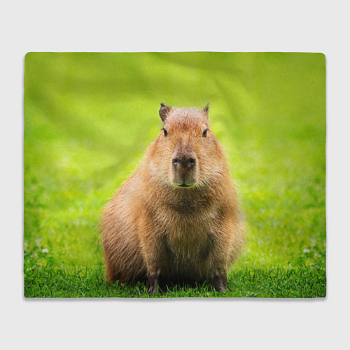 Плед Capybara on green grass / 3D-Велсофт – фото 1