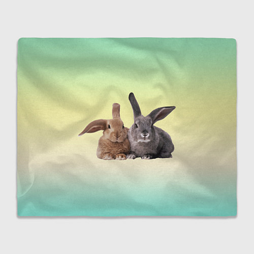 Плед Два пушистых кролика / 3D-Велсофт – фото 1