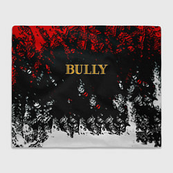 Плед Bully краски