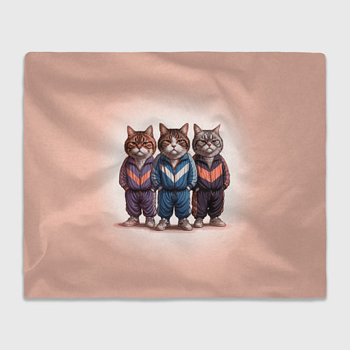 Плед Три полосатых кота в спортивных костюмах пацана / 3D-Велсофт – фото 1
