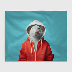 Плед флисовый Крыс в балахоне, цвет: 3D-велсофт