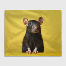 Плед флисовый Крыса черная, цвет: 3D-велсофт