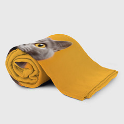 Плед флисовый Удивленный кот, цвет: 3D-велсофт — фото 2