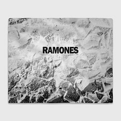 Плед Ramones white graphite