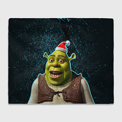 Плед флисовый New years Shrek, цвет: 3D-велсофт