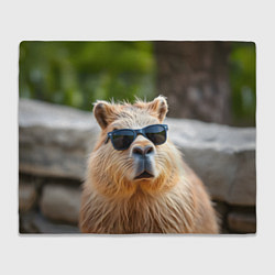 Плед флисовый Модная капибара в темных очках, цвет: 3D-велсофт