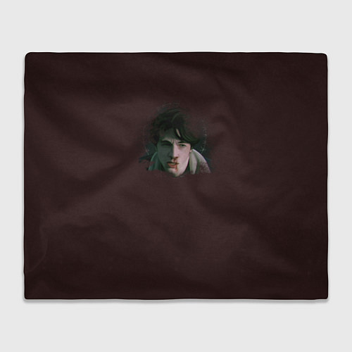 Плед Wayne / 3D-Велсофт – фото 1