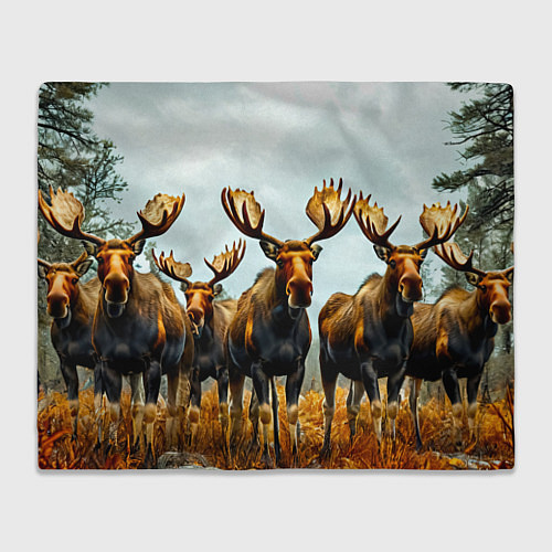 Плед Лоси / 3D-Велсофт – фото 1