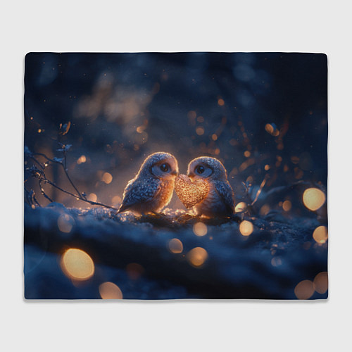 Плед Милые влюбленные совушки / 3D-Велсофт – фото 1