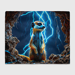 Плед Сурикат в разрядах молний