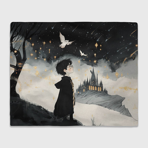 Плед Гарри Поттер и совы / 3D-Велсофт – фото 1