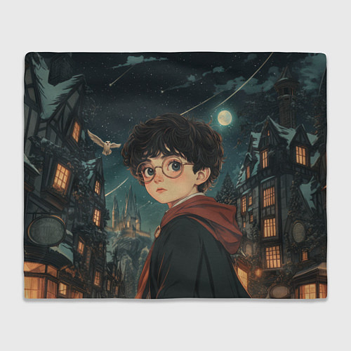 Плед Гарри Поттер и ночной город / 3D-Велсофт – фото 1