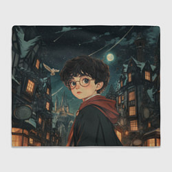 Плед флисовый Гарри Поттер и ночной город, цвет: 3D-велсофт