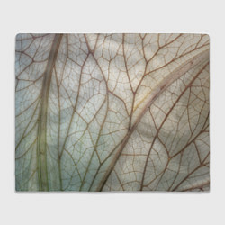 Плед флисовый Прожилки листика, цвет: 3D-велсофт