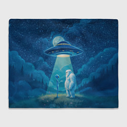 Плед флисовый Пришелец и снежный человек, цвет: 3D-велсофт