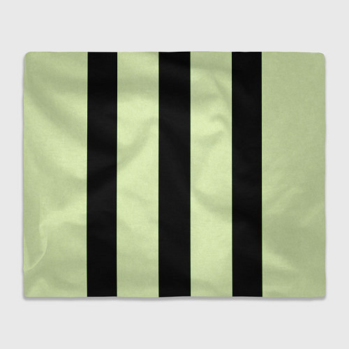 Плед Color light green black line / 3D-Велсофт – фото 1