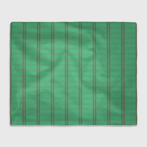 Плед Color green cage brown stripes / 3D-Велсофт – фото 1