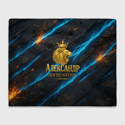 Плед флисовый Александр лев по натуре, цвет: 3D-велсофт