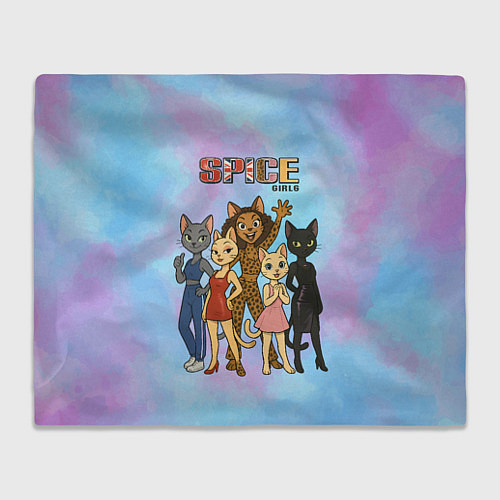 Плед Spice girls кошки из 90х / 3D-Велсофт – фото 1