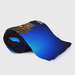 Плед флисовый Doctor Hoo сова у телефонной будки, цвет: 3D-велсофт — фото 2