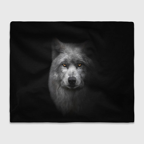 Плед Суровый волк с холодным нордическим взглядом / 3D-Велсофт – фото 1