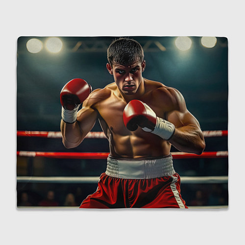 Плед Боксёр в ринге / 3D-Велсофт – фото 1