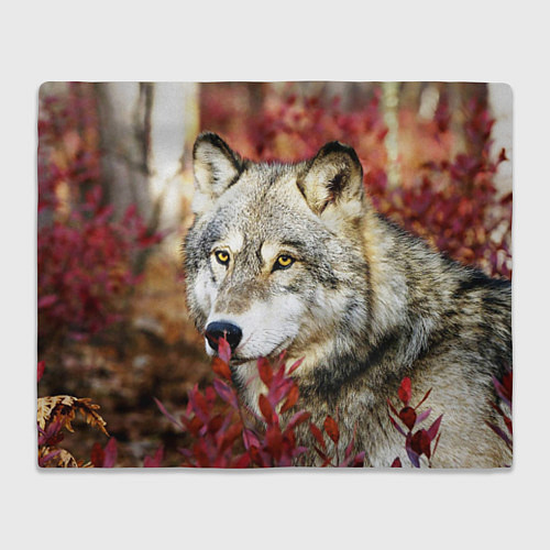 Плед Волк в кустах / 3D-Велсофт – фото 1