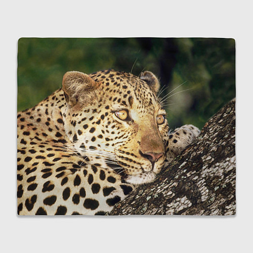 Плед Леопард в лесу / 3D-Велсофт – фото 1