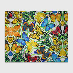 Плед флисовый Тропические бабочки, цвет: 3D-велсофт