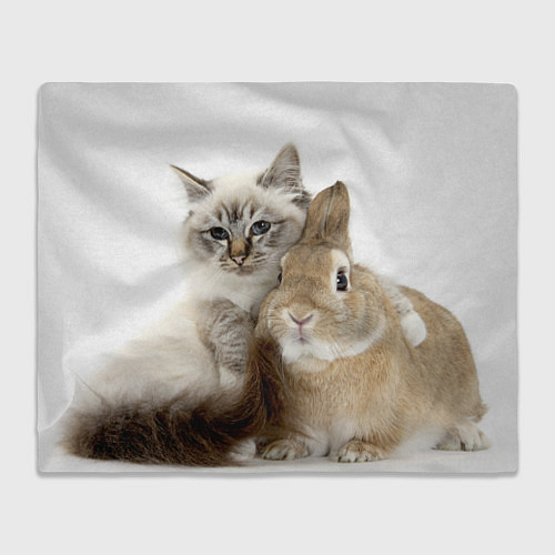 Плед Кот и кролик пушистые / 3D-Велсофт – фото 1