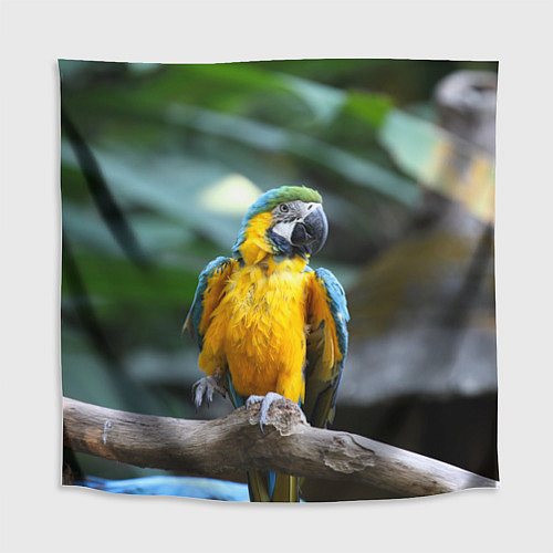 Скатерть для стола Красавец попугай / 3D-принт – фото 1