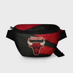 Поясная сумка Chicago Bulls: Old Style, цвет: 3D-принт