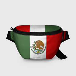 Поясная сумка Мексиканский герб