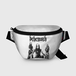Поясная сумка Behemoth
