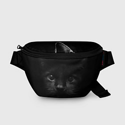 Поясная сумка Чёрный кот