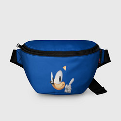 Поясная сумка Sonic, цвет: 3D-принт