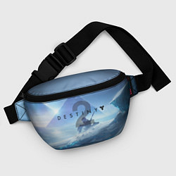 Поясная сумка Destiny 2: Beyond Light, цвет: 3D-принт — фото 2
