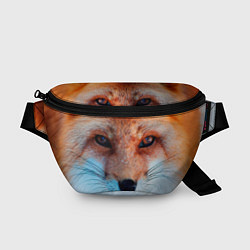Поясная сумка Мордочка лисы, цвет: 3D-принт