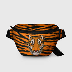Поясная сумка Тигр настоящий хищник, цвет: 3D-принт
