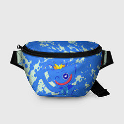 Поясная сумка Poppy Playtime Поппи Плейтайм, цвет: 3D-принт