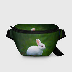 Поясная сумка Кролик на фоне травы, цвет: 3D-принт