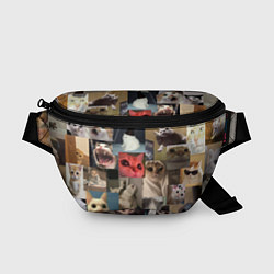 Поясная сумка Мемные котики, цвет: 3D-принт